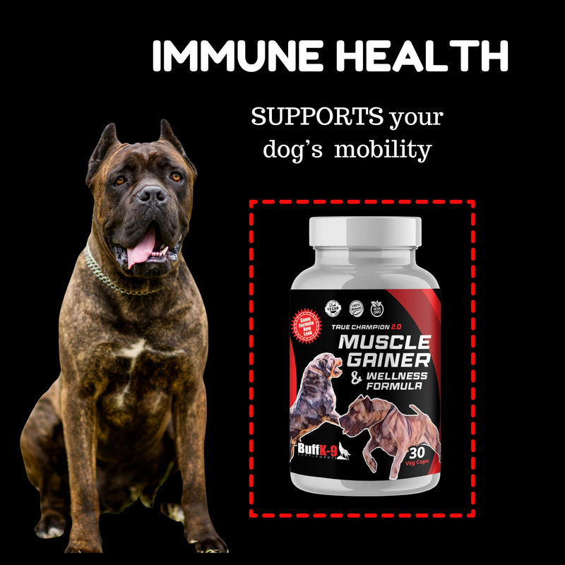 BuffK-9's 3-in-1 Dog Muscle Builder and Weight Gainer for Dogs Capsules for Puppies & Adult Dogs - All Breeds -Top Choice Canine Dog Supplement for Muscle Gains - 30 Caps - PawsPlanet Australia