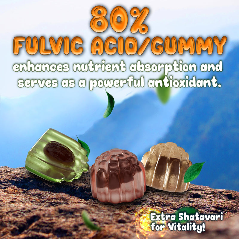 [Australia] - Pure Himalayan Shilajit Gummies - High Potency Gold Grade Resin - Energy Boost and Immune Support for Men and Women with Ashwagandha and Shatavari - 60 Gummy - Peach & Mango 60 Count (Pack of 1) 