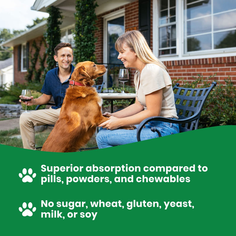 Vegetarian Glucosamine for Dogs - Vegetarian Glucosamine Without Shellfish - Msm Supplement for Pain - Vet Recommended Glucosamine Vegetarian - Arthritis Medicine & Glucosamine with Msm (16 oz) - PawsPlanet Australia
