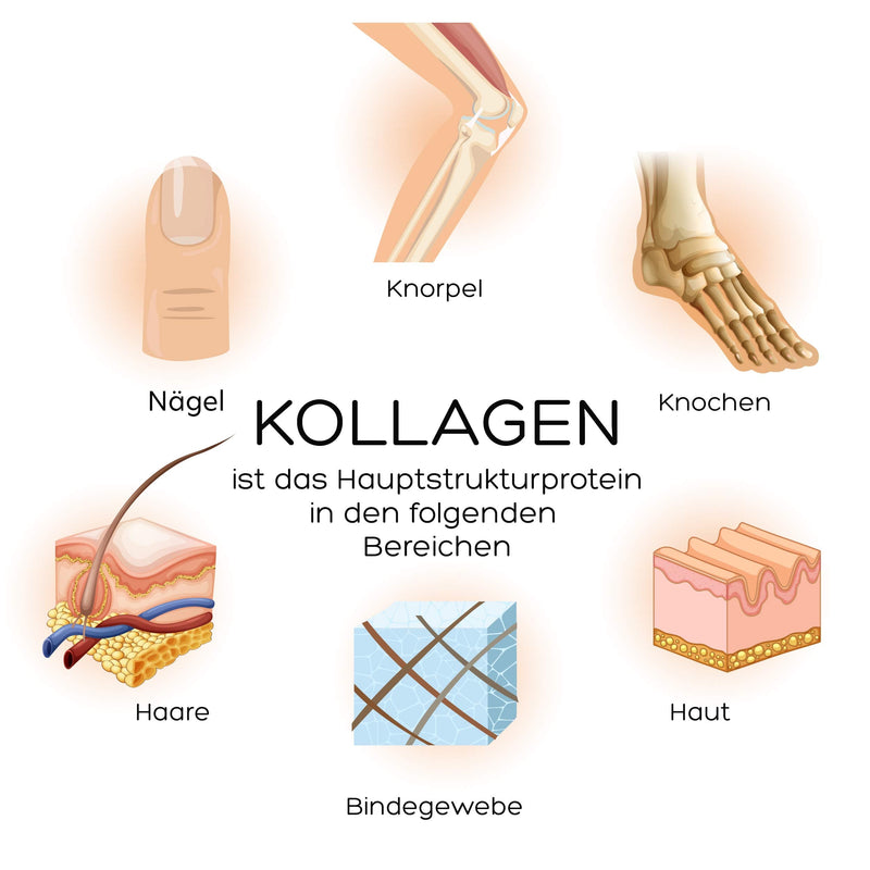 [Australia] - Luondu Beauty collagen drinking ampoules with hyaluronic acid (30 ampoules with 2500 mg premium liquid collagen) I anti-aging* for drinking I with biotin, copper & vitamin C, flower honey & royal jelly 