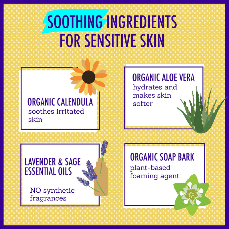 [Australia] - California Baby Calming Lavender Shampoo and Body Wash | 100% Plant-Based (USDA Certified) | Allergy Friendly | Baby Soap and Toddler Shampoo for Dry, Sensitive Skin | 517 mL / 17.5 fl. oz 17.5 Fl Oz (Pack of 1) 
