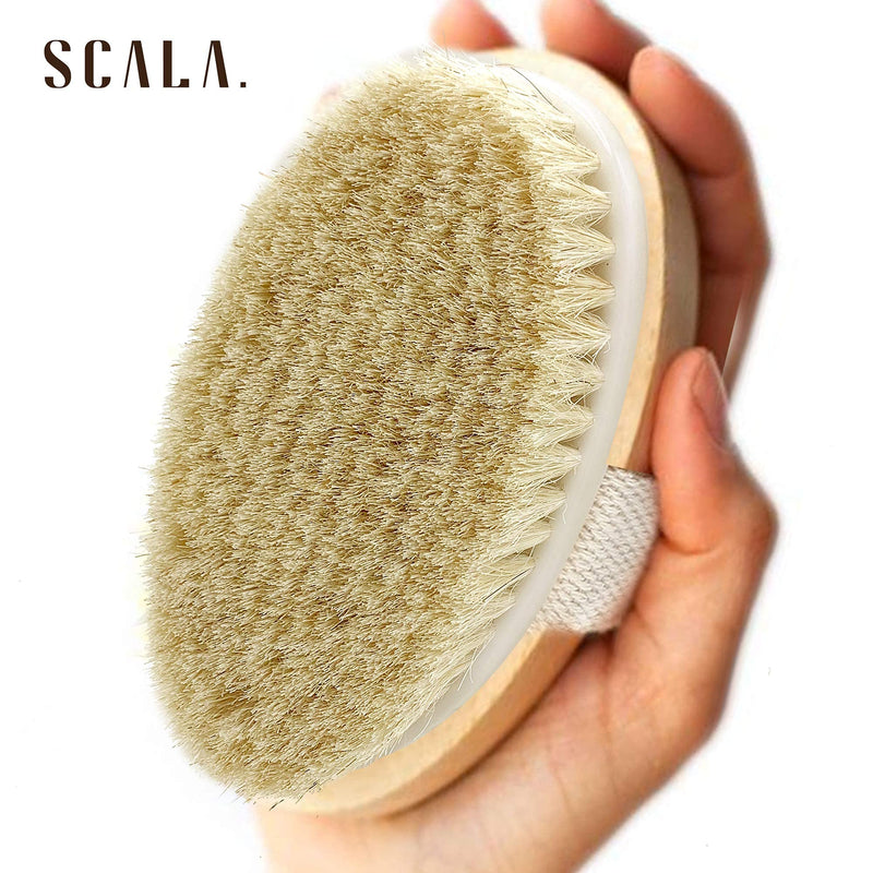 Dry Brushing Body Brush SCALA Natural Bristle Body Brush, Soft Body Exfoliating Brush Scrub for Dead Skin, Cellulite, Lymphatic Drainage, Blood Flow – Thicker & Stronger Medium Strength E. Wooden