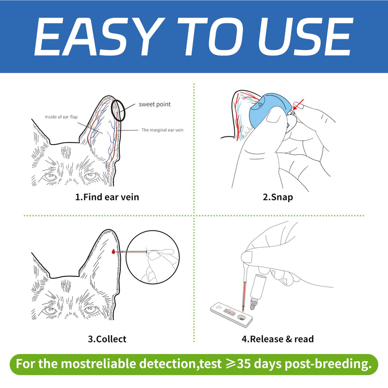 Dog Pregnancy Test Kit, Needle-Free Painless At Home Detection, 98% High Accuracy, Fast & Safe Canine Pregnancy Test for Dogs