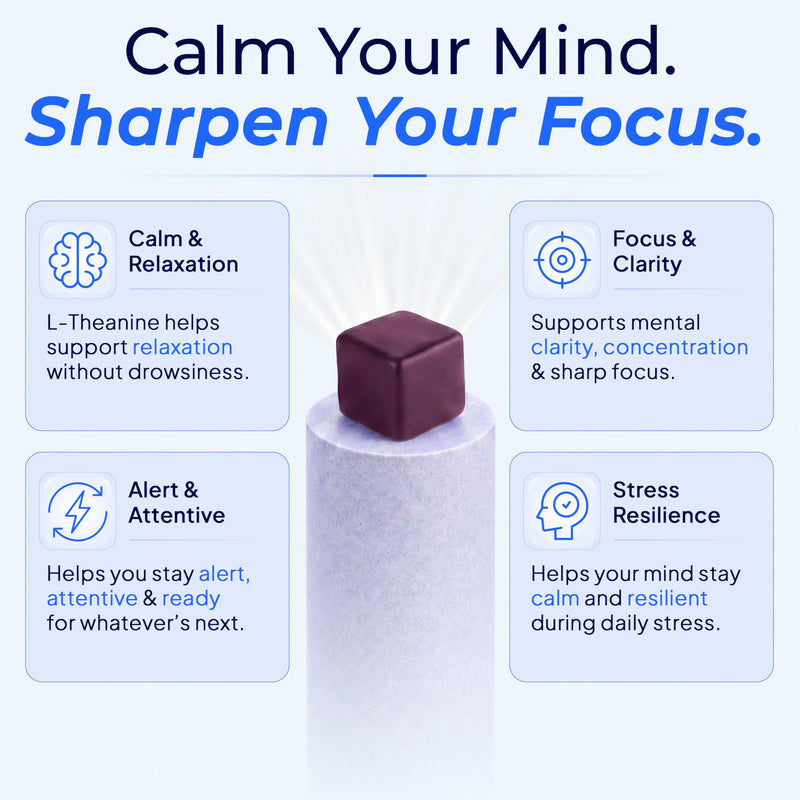 L Theanine Gummies for Calm Focus & Mental Balance with Vitamin B6 – 250 mg L Theanine per Serving, Delicious Mixed Berry Flavour, 60 Vegan Gummies – GUMEEZ