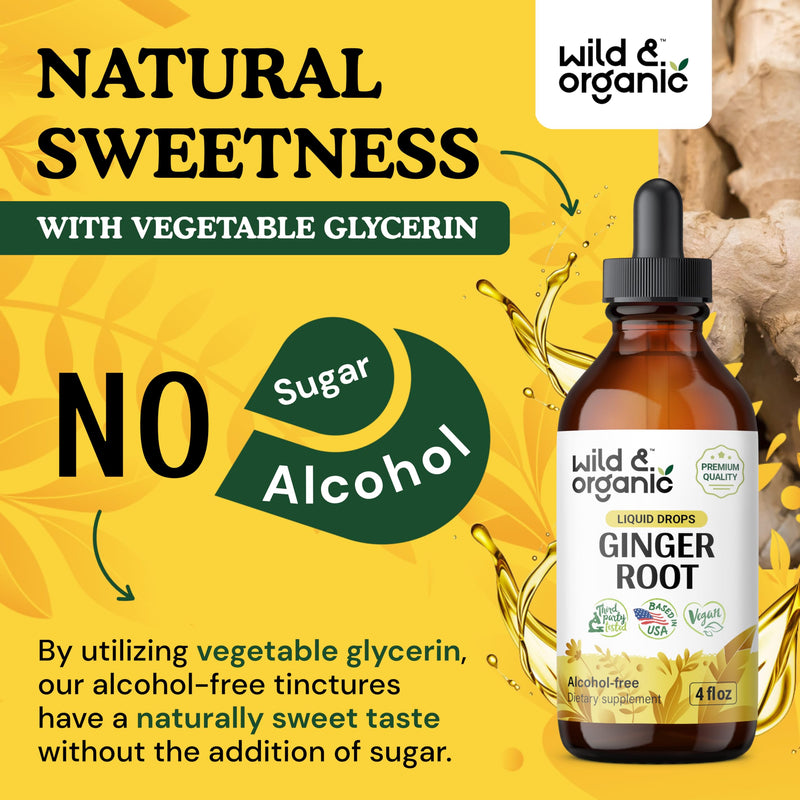 [Australia] - Ginger Root Drops - Immune Support Supplement w/Ginger Organic - Alcohol-Free Ginger Extract Liquid for Digestive Health and Immunity - Liquid Ginger Supplement for Digestion - 4 oz 4 Fl Oz (Pack of 1) 