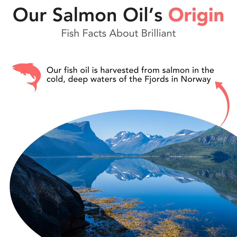 Salmon Oil for Dogs - Healthy Skin & Coat, Natural Norwegian Omega 3 Fish Oil Food Supplement, EPA & DHA Fatty Acids, Ideal for Shedding, Allergy, Itching, Dry Skin, Joint & Bone Health - (2 x 16.9oz) 16.9 oz (Pack of 2) - PawsPlanet Australia