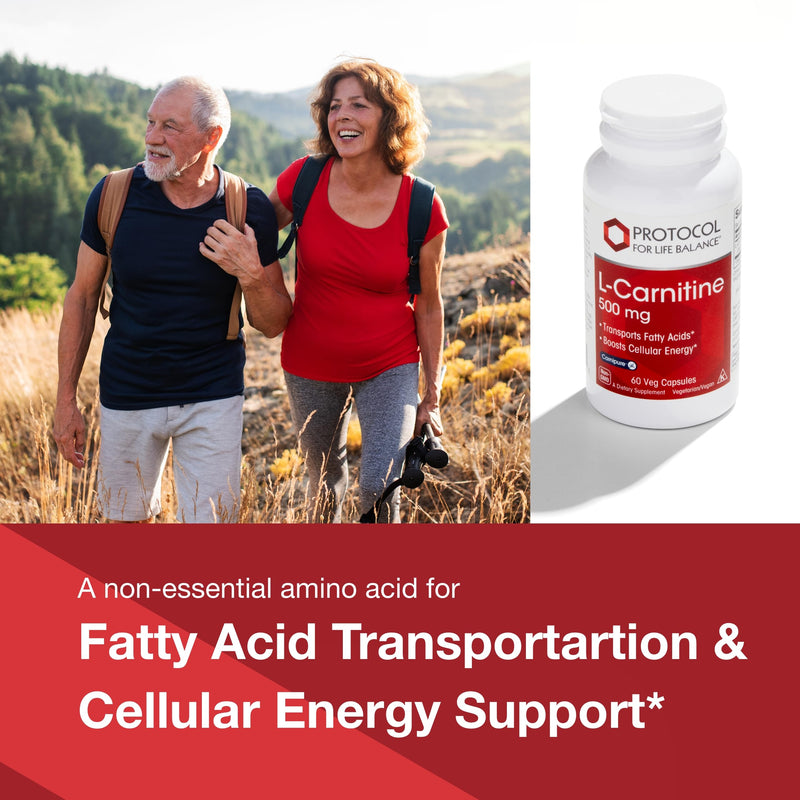 [Australia] - PROTOCOL FOR LIFE BALANCE L-Carnitine 500mg - Cell Energy Metabolism - Exercise Performance, Recovery - 60 Veg Caps 