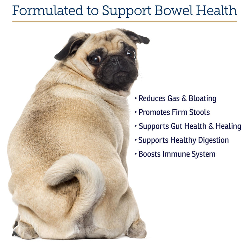 Rx Vitamins NutriGest Capsules for Cats & Dogs - 90ct | Probiotics and Prebiotics for Digestive Health - Supports Gut Flora - Helps with Constipation Relief and Bowel Function New Label