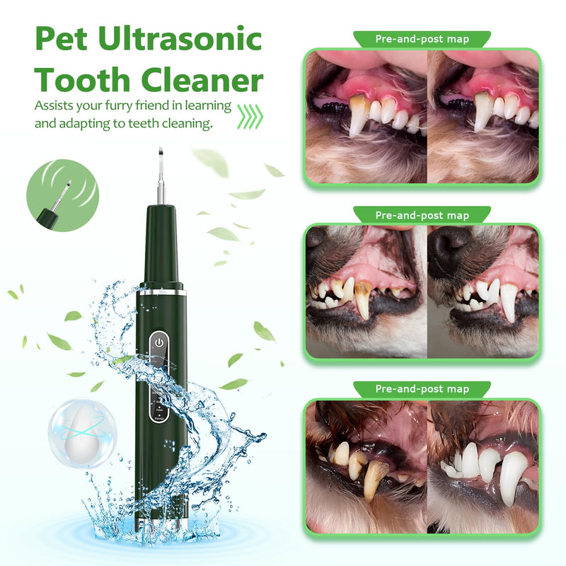 [Australia] - Plaque Remover for Teeth - Electric Toothbrush for Dogs Pet Brush Set,Electric Five Modes + 3 Cleaning Head, Plaque Remover for Teeth Stains for Dogs and Cats (Dark Green, Large) 