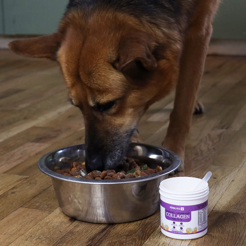 Eggshell Membrane Collagen for Dogs - Non-Gelatin and Non-Bone Marrow Based, All Natural Premium Dog Collagen Powder from Eggshell Membranes: Supports Pet HIPS, Joints, Nails, Fur and Digestion. - PawsPlanet Australia
