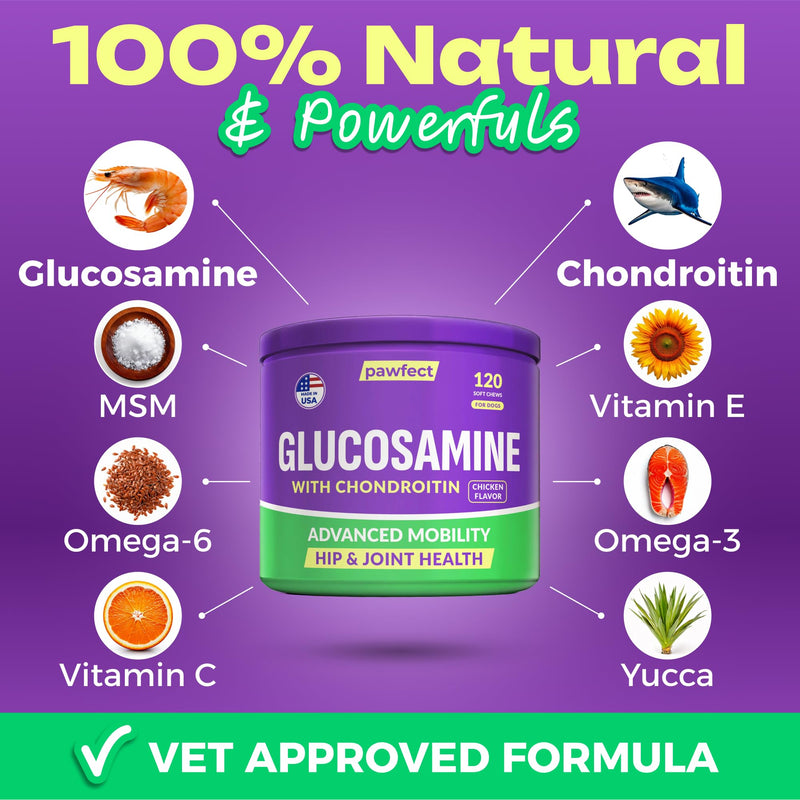 Pawfect Mobility Glucosamine Chews for Dogs - Hip & Joint Health Supplement Chews w/Omega-3, Chondroitin, MSM - Made in USA - Joint Pain Relief - Hip & Joint Care - 120ct 120 Glucosamine Treats - PawsPlanet Australia