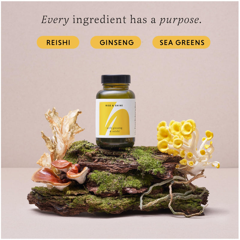Ginseng & Reishi Supplement – Rise & Shine 60 Capsule Jar - Red Ginseng Capsules - Panax Ginseng High Strength - Reishi Mushroom Capsules - Natural Energy Supplement for Adults Morning Vitality