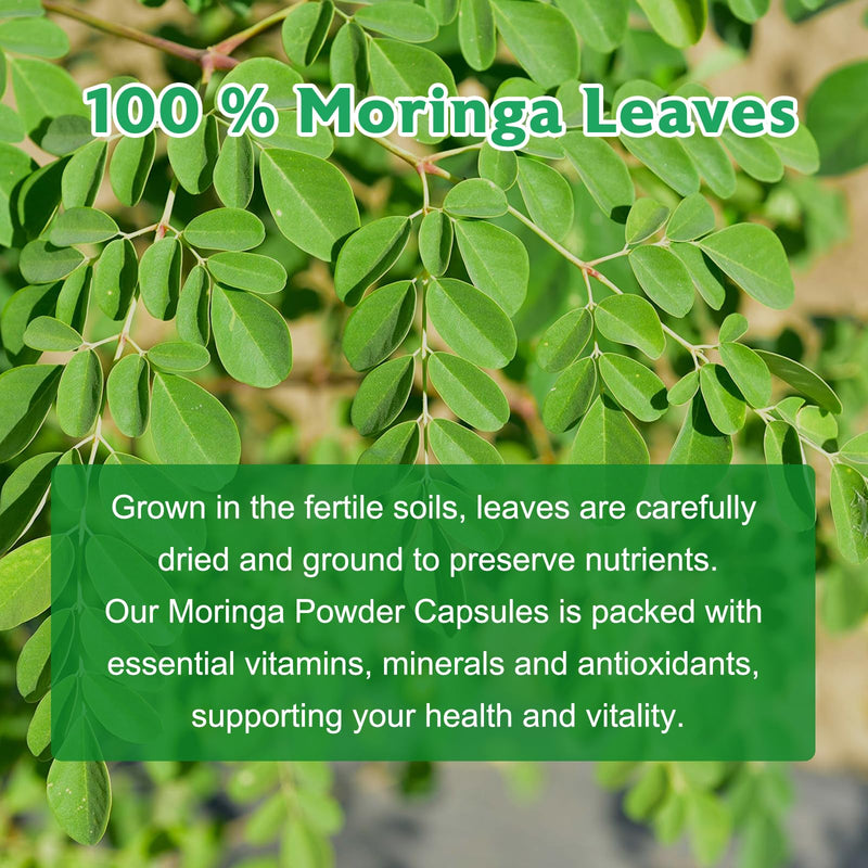 Moringa Capsules, Pure Moringa Leaf Powder Natural Green Antioxidant Superfood, High Potency Nutrient for Energy, Skin Health, Gut Health Supports, 120 Vegan Capsules 120 Count (Pack of 1)