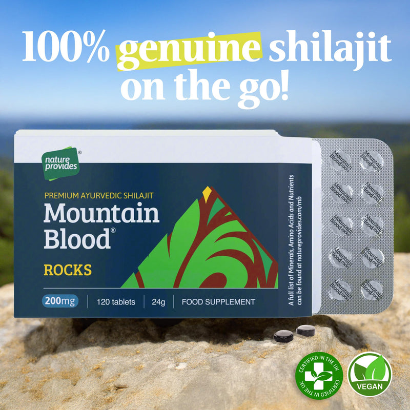 Mountain Blood 120 Shilajit Tablets Pills (24g) 4 Months Supply - Authentic, Vegan, Ethically Sourced, Mineral-Rich, UK Lab-Tested, Boosts Energy & Stamina, Made in UK by Nature Provides 24g 120 count (Pack of 1)