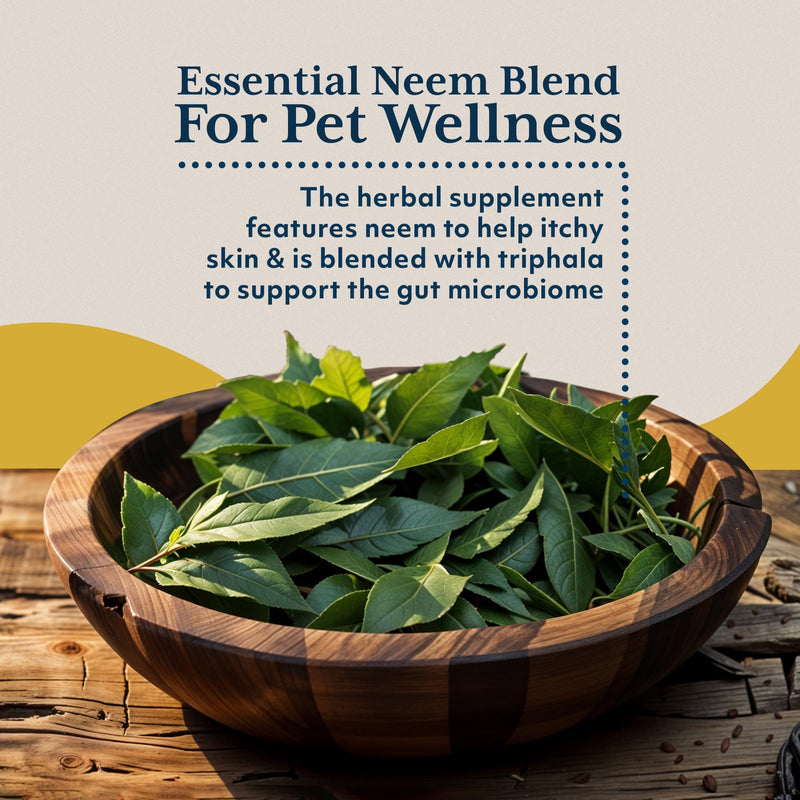 Ayush Pet Skin Plus, Neem Supplement for Healthy Skin and Coat, Supports Gut and Immunity, 90 Capsules - PawsPlanet Australia
