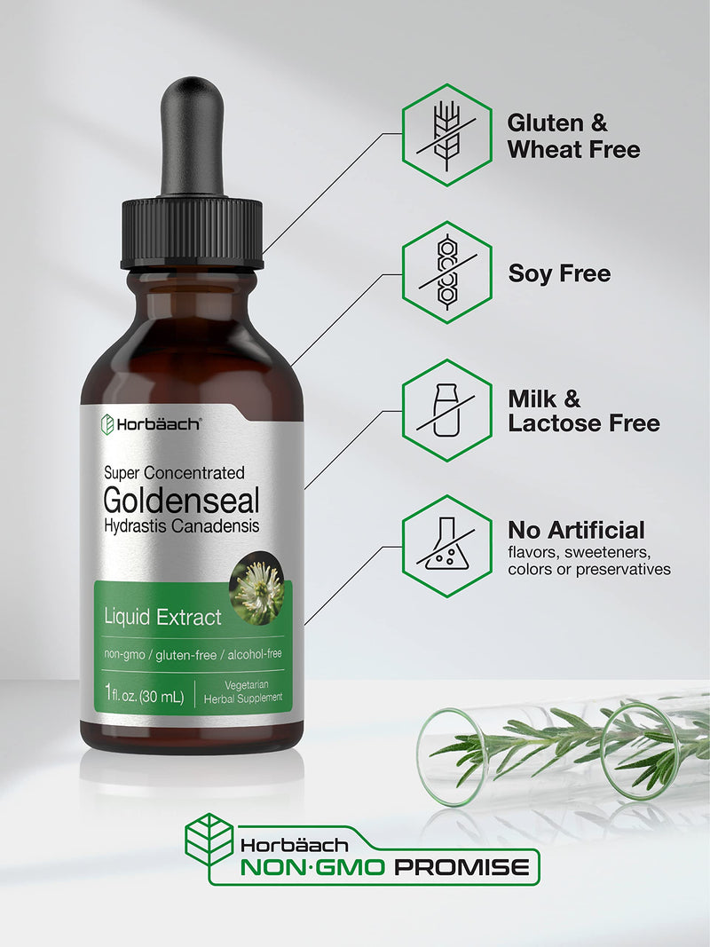 Horbäach Goldenseal Root Extract Liquid | 1 fl oz Tincture | Super Concentrated | Alcohol Free | Vegetarian, Non-GMO, Gluten Free