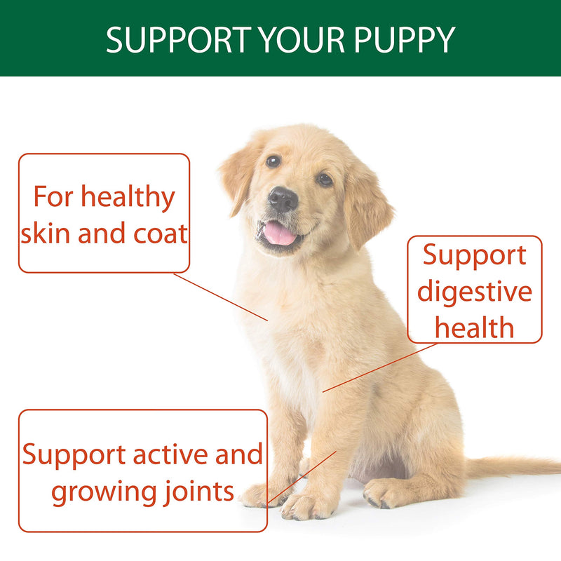 Natural Turmeric Powder for Dogs with Powdered Coconut Oil - Turmericle Anti-Inflamatory Dog Supplement for Healthy Hip & Joint Function - Normal Skin Health (1 Pack) 1 pack - PawsPlanet Australia