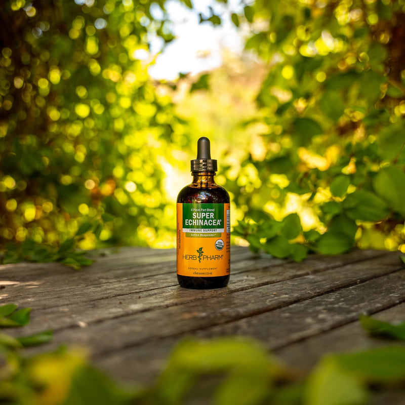 [Australia] - Herb Pharm Certified Organic Super Echinacea Liquid Extract for Active Immune System Support - 4 Oz 4 Fl Oz (Pack of 1) 
