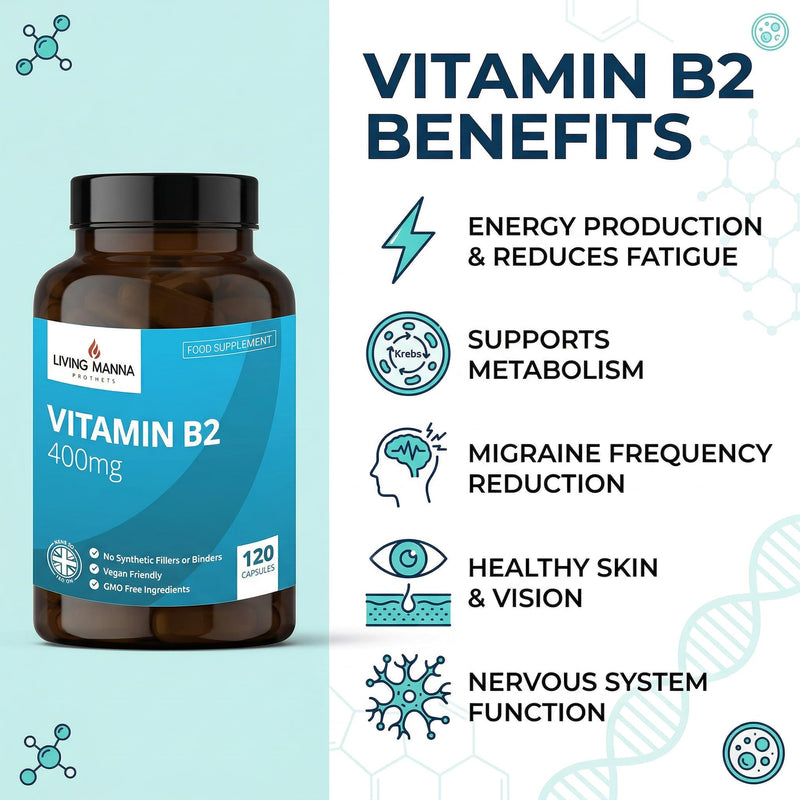 Vitamin B2 Riboflavin 400mg High Strength | 120 Vegan Capsules | Energy, Fatigue & Migraine Support | Pure Riboflavin | UK Made – Living Manna
