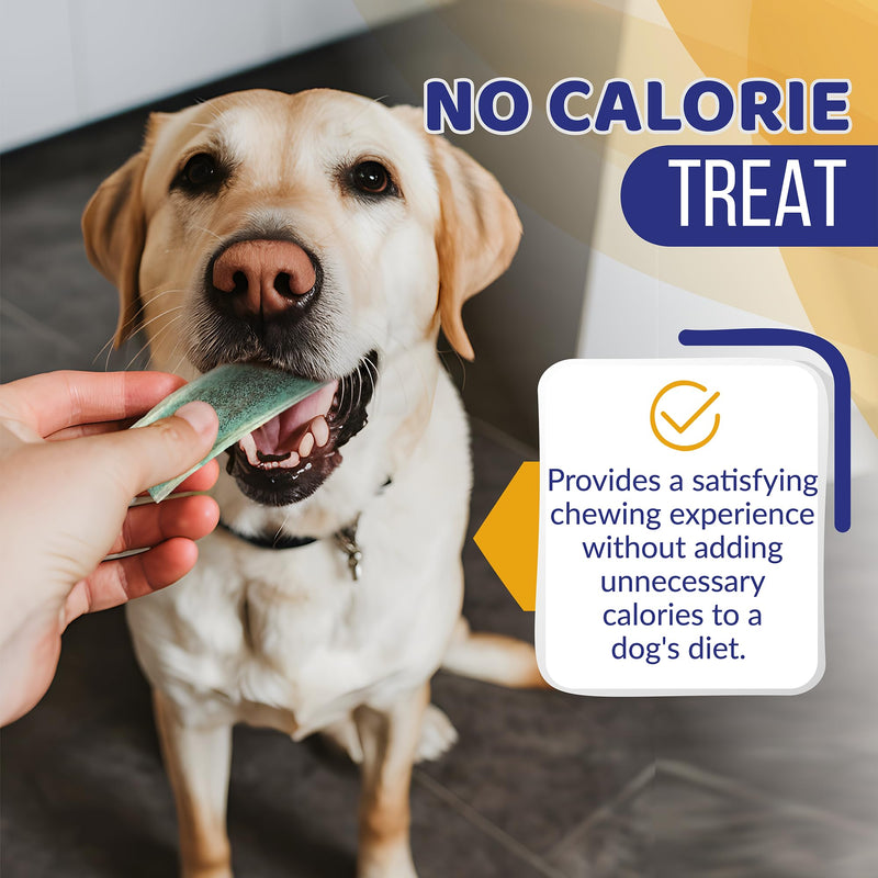 New Vita-Min Split Elk Antlers for Dogs Large with Vitamins & Minerals for Overall Health – Natural Dog Dental Treats for Oral Care (Large) 1 Count (Pack of 1) - PawsPlanet Australia