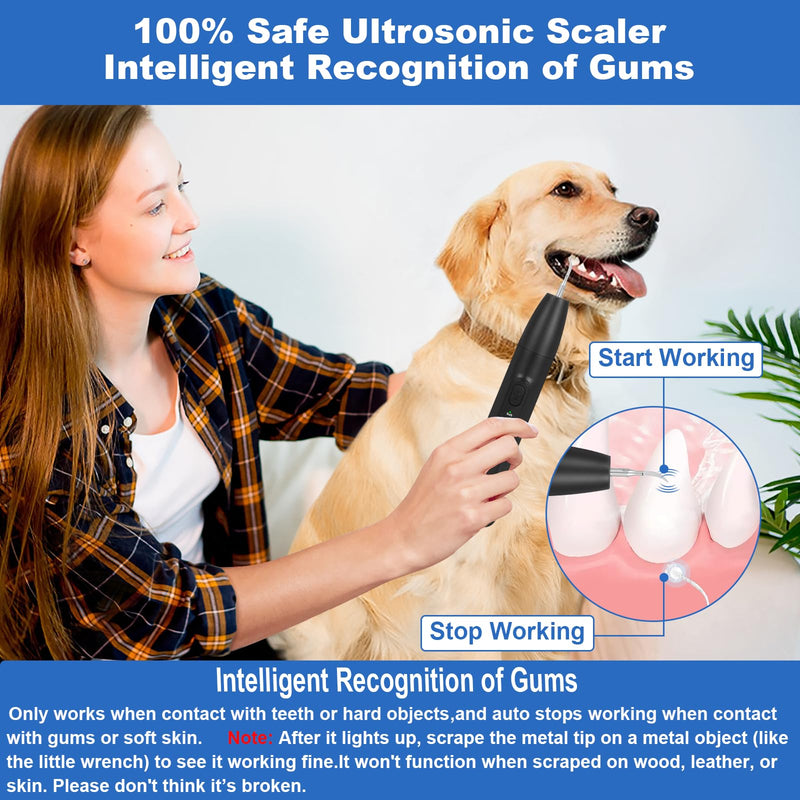 [Australia] - Dog Tooth Brushing Kit, Dog Teeth Cleaning Kit with Led Light, 3 Modes Dogs Plaque and Tartar Remover, Rare Pet Canident - Sonic Tooth Cleaner for Doggies and Cats, Obsidian 