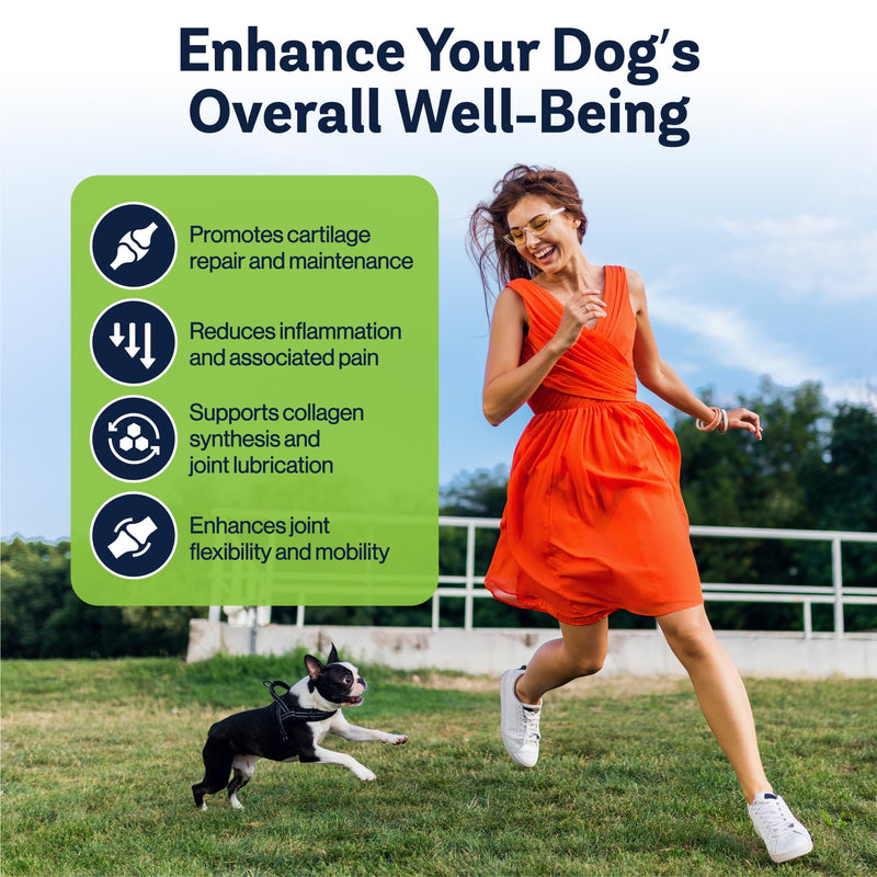Dog Hip & Joint Supplement | Advanced Inflammation & Pain Relief with Glucosamine, Chondroitin, MSM, Hyaluronic Acid, Green Lipped Mussel, Turmeric, and Vitamin E. 60 Peanut Butter Chews - PawsPlanet Australia