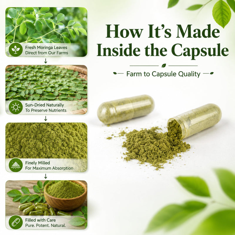 Organic Moringa Capsules 800mg, 3rd Party Tested & Non-GMO, 360 Count | Moringa Capsules Superfood for Energy, & Immune Support, Rich in Antioxidants, Essential Vitamins & Amino Acids, Gluten Free 360 Count Pack of 3