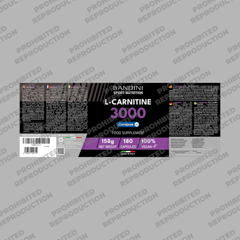 Bandini® L-Carnitine 3000, 180 Capsules with High Dose Carnipure®, L Carnitine Tartrate Sports Supplement 100% Vegan, High Strength, Absorption and Bioavailability, Carnitin for Men & Women, Non GMO