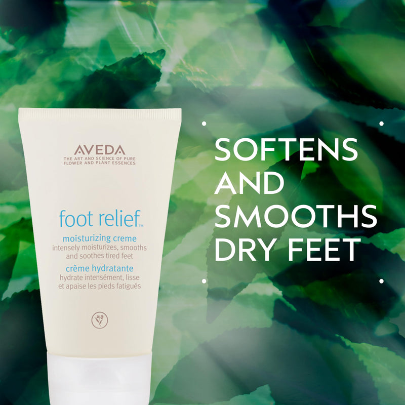 Aveda Foot Relief Moisturizing Creme | Exfoliates, Softens & Smooths Dry Feet | with Jojoba, Peppermint, Tea Tree, Castor Oils, 4.2 Fl Oz 4.2 Fl Oz (Pack of 1)