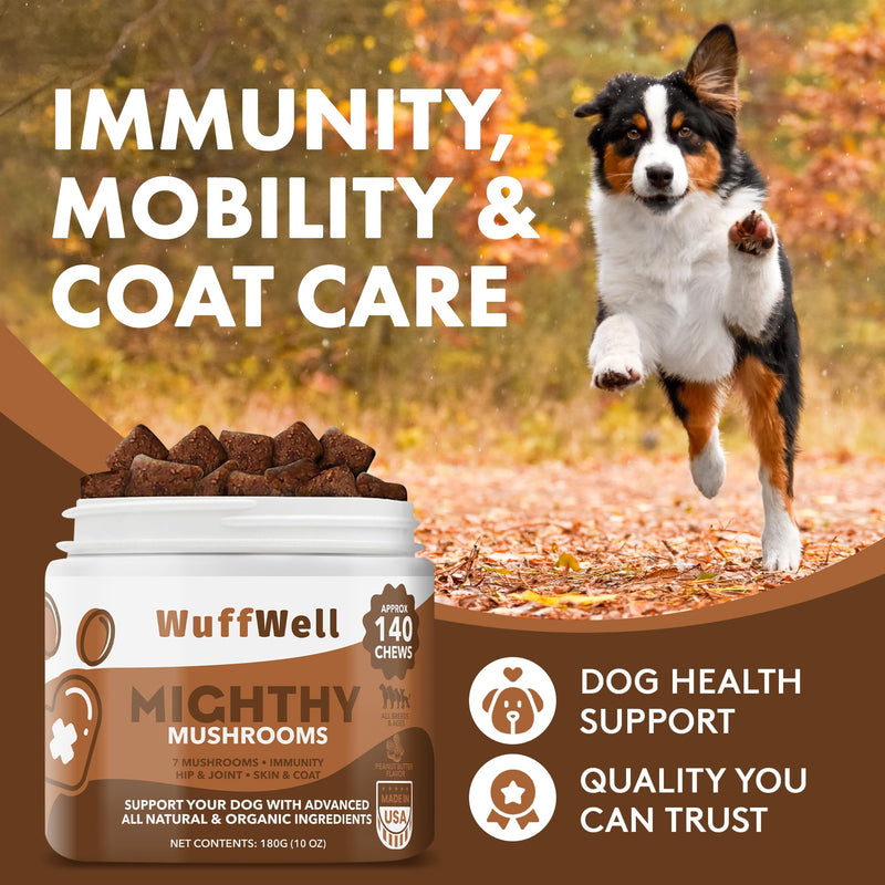 Mushroom Supplement for Dogs - 140 Chews - Advanced 7 Mushrooms Blend with Turkey Tail, Lions Mane and Reishi - Includes Green Lipped Mussel, Salmon Oil and Probiotics for Immune Support Peanut Butter - PawsPlanet Australia