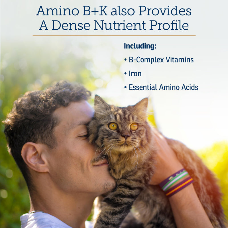 Rx Vitamins Amino B+K - Cat Vitamin B & Potassium Supplement for Cats - 4oz | with Amino Acids Taurine & Lysine - Promotes Kidney Health and Boosts Immunity - Liver & Bacon Flavor New Label