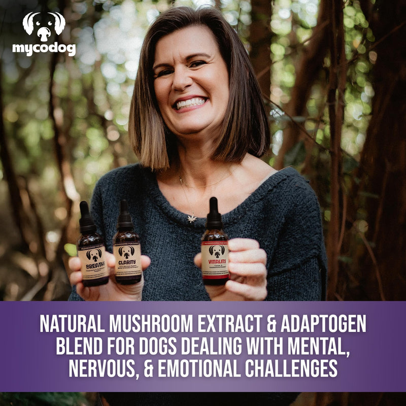 MycoDog Clarity Mushroom Extract & Adaptogen Tincture for Canines - Mushroom & Ashwagandha Supplements for Nervous, Mental, & Emotional Support - Reishi Mushroom, Cordyceps, & Lions Mane Supplement - PawsPlanet Australia