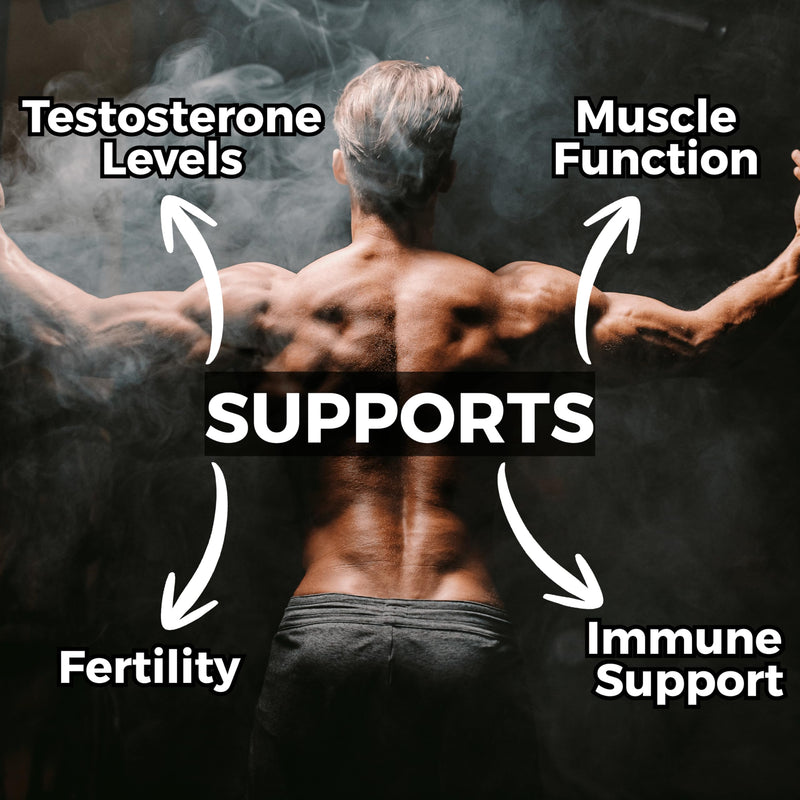 Testosterone Support for Men - Alpha Pact by Nutripact with Tribulus Terrestris, Ashwagandha, Maca, Zinc, Boron, Magnesium – 60 Vegan Capsules - Testosterone Supplements for Performance & Vitality