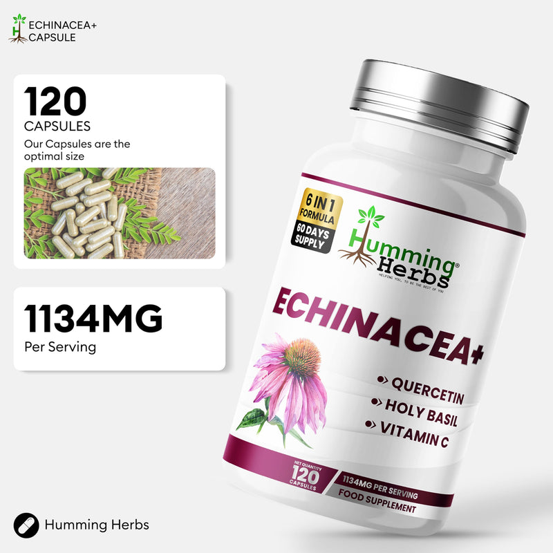 Humming Herbs Echinacea Supplement 6 in 1 | with Holy Basil Quercetin Vitamin C Zinc and Vitamin D3 | 1220 mg per Serving | 120 Vegan Capsules | 60 Day Supply
