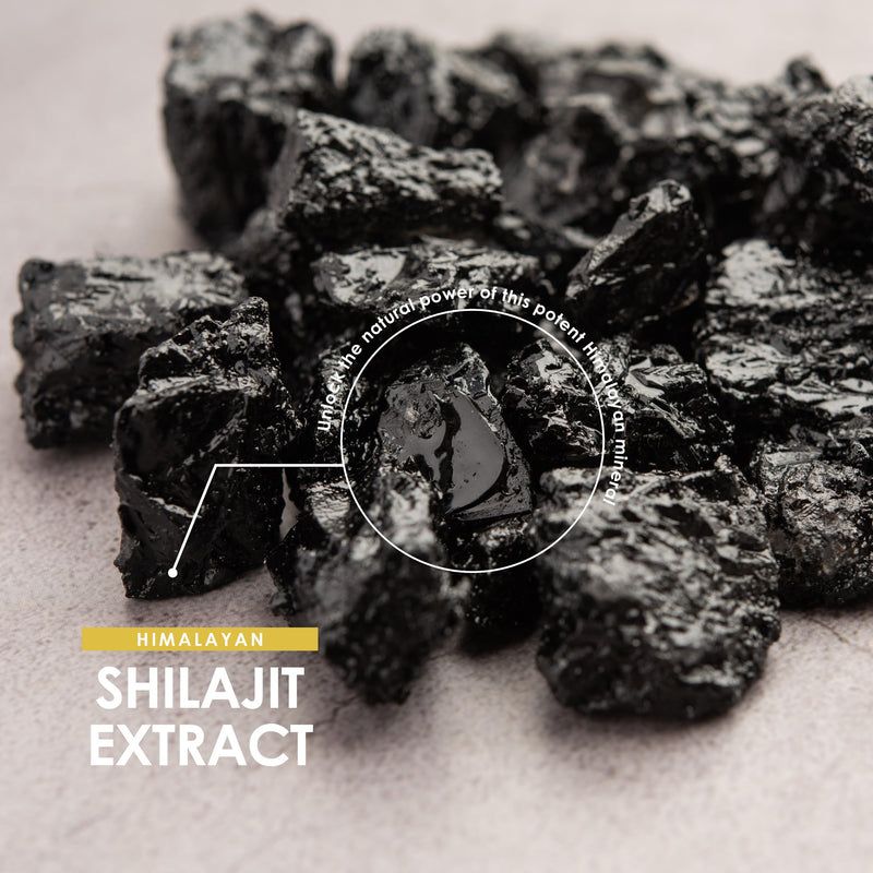 Himilayan Shilajit Capsules 20,000mg - 60% Fulvic Acid - 90 Vegan Capsules - High Strength Shilajit Resin Supplement (3 Months Supply) - Resealable and Recyclable Pouch by Alpha01