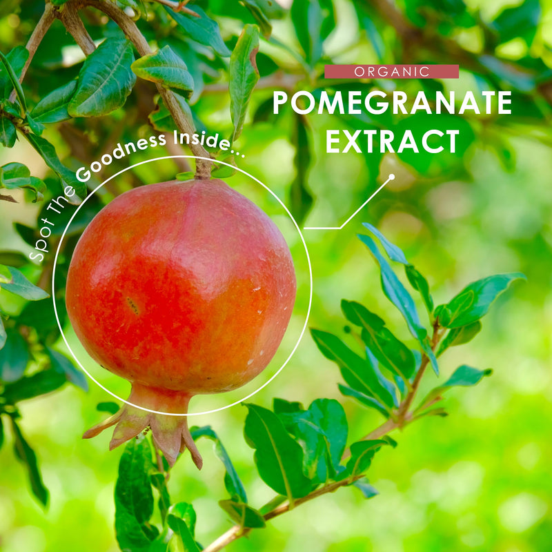 Alpha01 Organic Pomegranate Extract 20,000mg Vegan Capsules - High Strength 40:1 Punica Granatum Extract - 120 Capsules 4 Months Supply