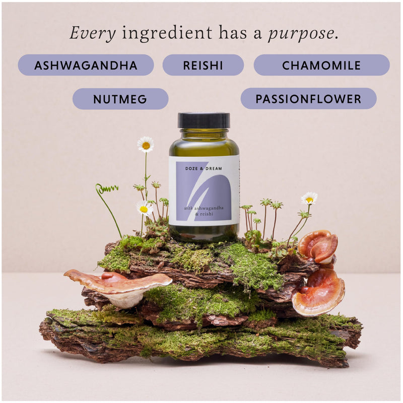 Ashwagandha & Reishi Sleep Supplement – Doze & Dream 60 Capsule Jar - Ashwagandha Capsules High Strength - Reishi Mushroom Capsules - Natural Herbal Sleep Support Tablets for Adults