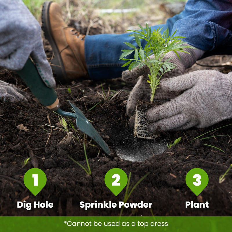 Big Foot Probiotic Root Boost Water Soluble Powder for Established Plants and Transplants - Grow Root Size, Increase Nitrogen, Grow New Plants from Cuttings, Pea Inoculant - 5 Ounces 5 oz