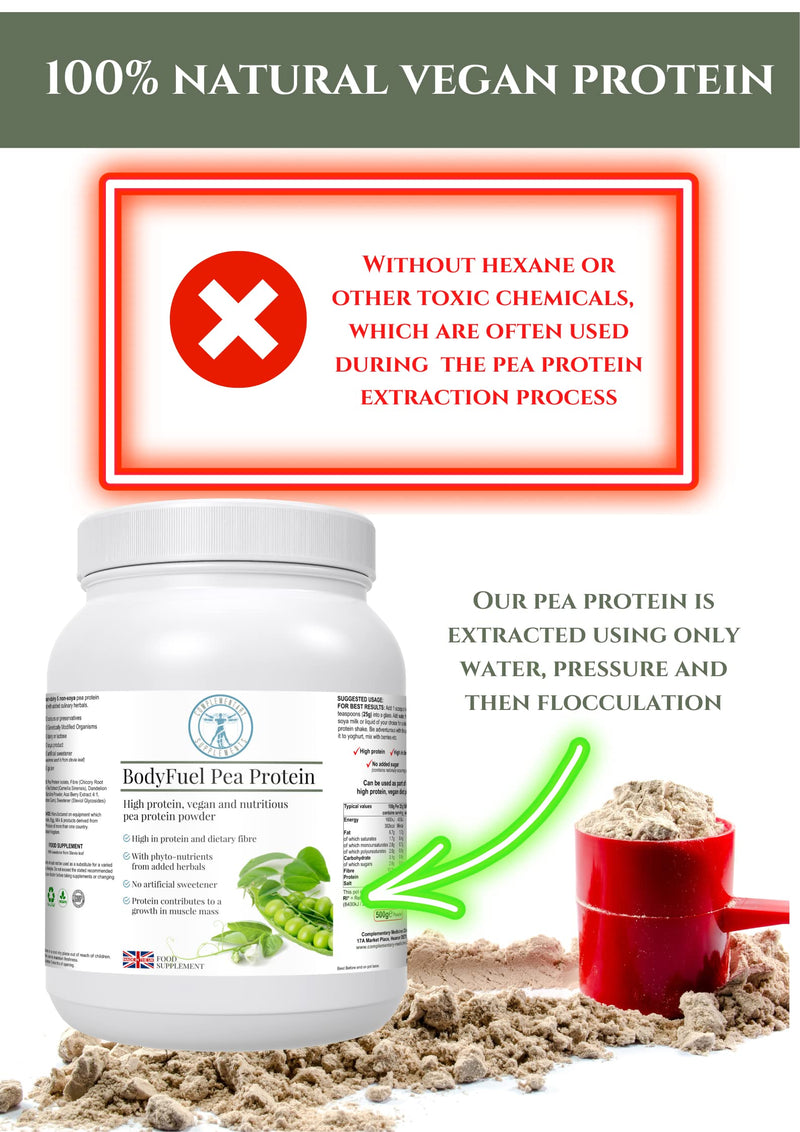BodyFuel Hypoallergenic Pea Protein Isolate Powder – Non-Bloating Plant Protein with Phytonutrients, Green Tea, Chicory, Dandelion & Acai – Vegan, 500g