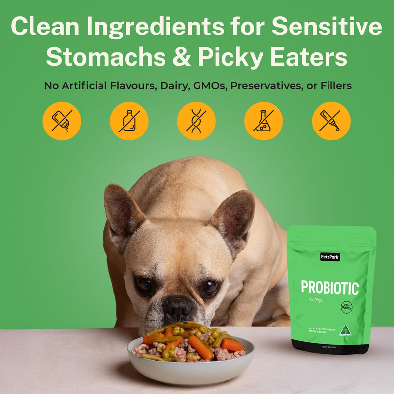Probiotic for Dogs - Grain-Free Digestive Support Powder for Diarrhea, Bloating & Gas - Promotes Immune Support & Oral Health - Reduces Paw Licking, Allergies & Yeast Infections - 5.4 oz - 90 Scoops - PawsPlanet Australia
