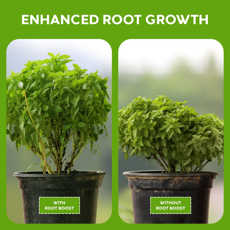 Big Foot Probiotic Root Boost Water Soluble Powder for Established Plants and Transplants - Grow Root Size, Increase Nitrogen, Grow New Plants from Cuttings, Pea Inoculant - 5 Ounces 5 oz