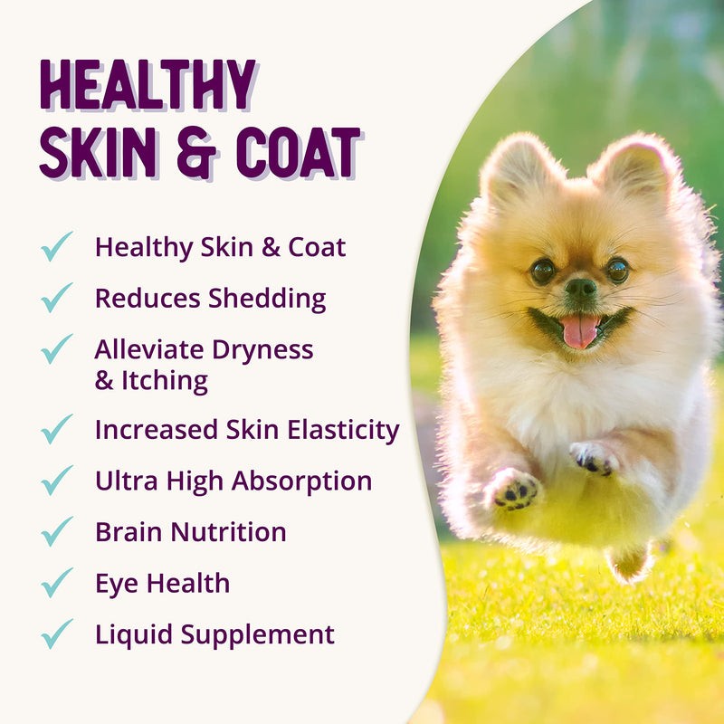 Health Extension Skin & Coat Supplement for Dogs & Puppies, 16oz - Omega 3 & 6 Rich Formula for Healthy Skin & Shiny Coat, Reduces Shedding & Itching - PawsPlanet Australia