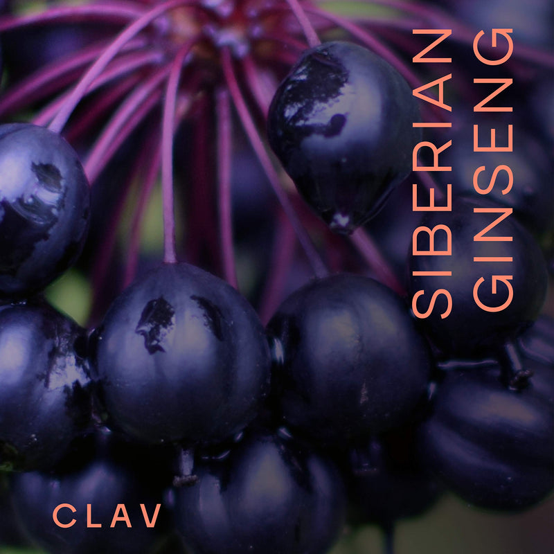 [Australia] - CLAV¬Æ Siberian Ginseng - 900mg Eleuthero Root Powder - Energy Supplement - Reduction of Tiredness & Fatigue - 60 Ginseng Capsules - Made in Germany 