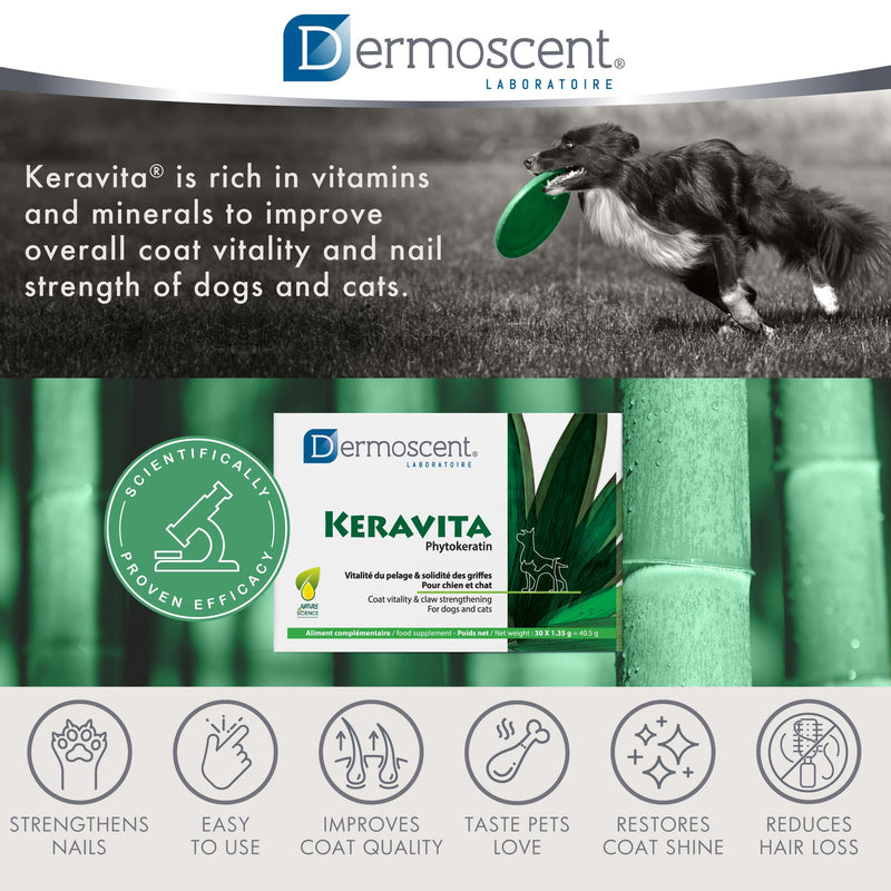 Dermoscent Keravita® Dog & Cat Skin and Coat Food Supplement - Natural Vitamin Pills for Hair Loss or Brittle Claws - 30 Tablets - PawsPlanet Australia
