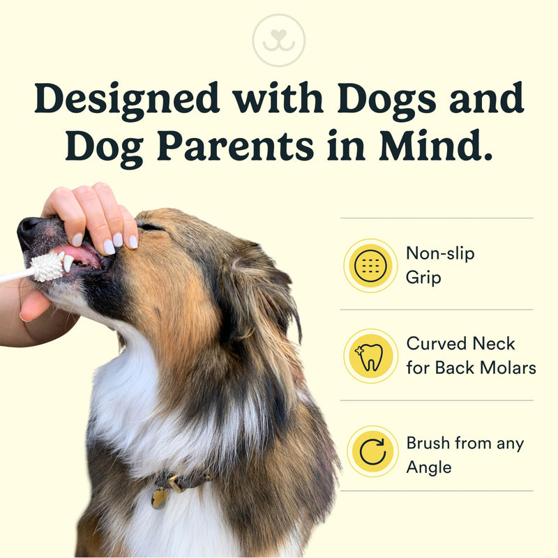 [Australia] - Jasper Macrobrush 360º, Dog Toothbrush for Medium to Large Dogs, Soft-Bristled Dog Tooth Brushing Kit - Premium Non-Slip Handle with 2 Replaceable Tooth Brush Heads, Use with Pet Toothpaste Macrobrush Kit 2 Count (Pack of 1) 