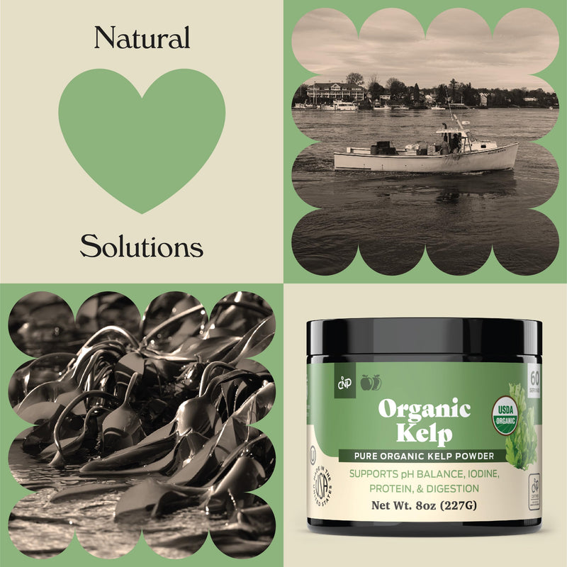 [Australia] - Organic Kelp Powder Supplement - Bulk Raw, Dry, Pure Sea Kelp Seaweed Powder 8oz 75 Serving Thyroid, Iodine, & Digestion 