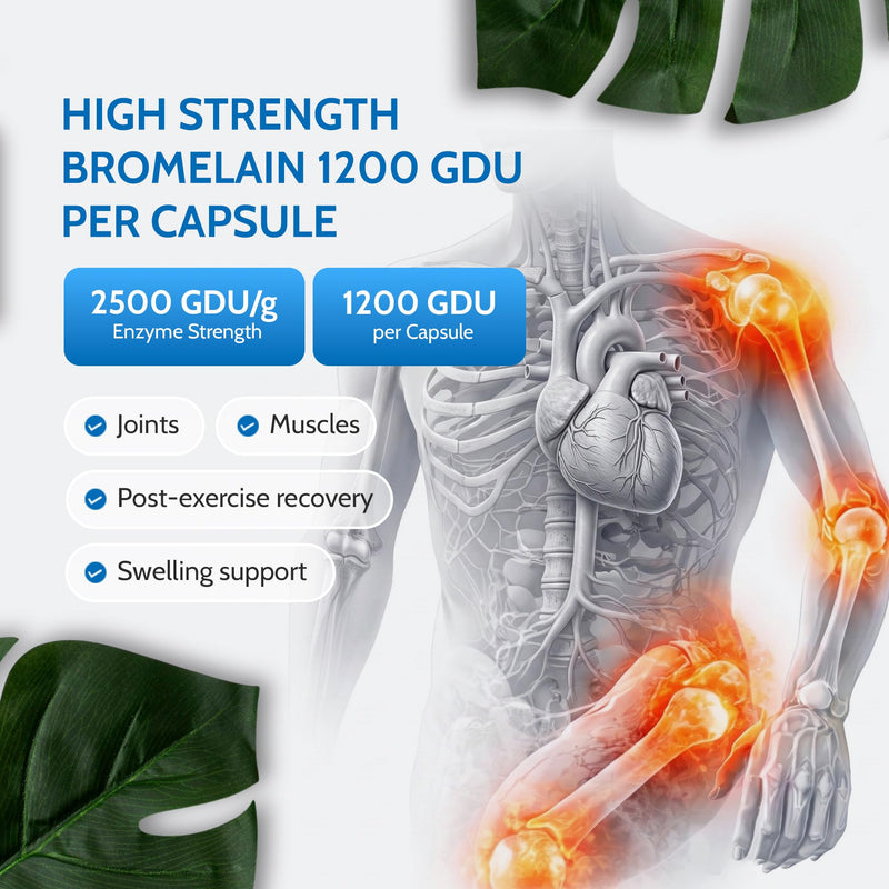 Bromelain 2500 GDU/g High Strength 1200 Units per Capsule for Inflammation, Swelling & Recovery 120 Vegan Capsules Pure Pineapple Enzyme Supplement for Digestion Support UK Made - Health4All 120 count (Pack of 1)