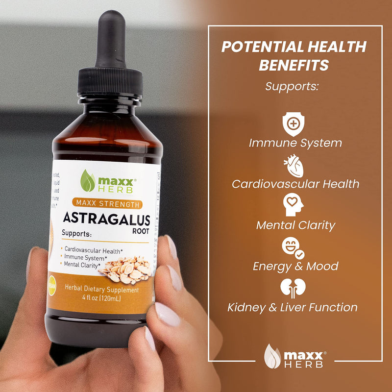 [Australia] - Maxx Herb Astragalus Root Extract - Max Strength Liquid Tincture Absorbs Better Than Capsules or Powder, for Immune Support and Mental Clarity - 4 Oz Bottle (60 Servings) 4 Fl Oz (Pack of 1) 
