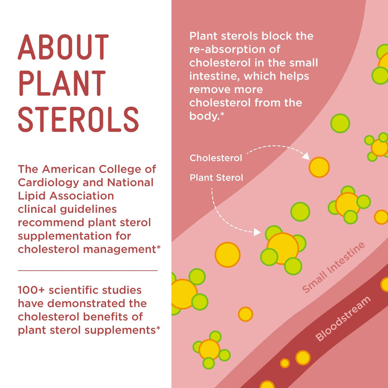 VITA PHARMA Plant Sterols 1000mg 240 Tablets, Heart & Cardiovascular Health, Healthy Lipid Metabolism, Nutritional Support, Balanced Wellness & Daily Vitality