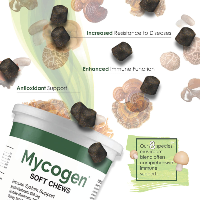 Mycogen for Dogs - Vitamins with 8 Types of Mushrooms - Support Immune System - 60 Soft Chews 1-Pack 60 chews - PawsPlanet Australia